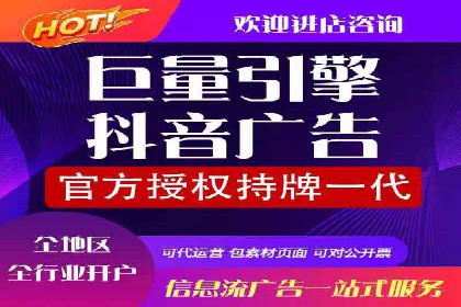 某知名企业SEM营销全案解析